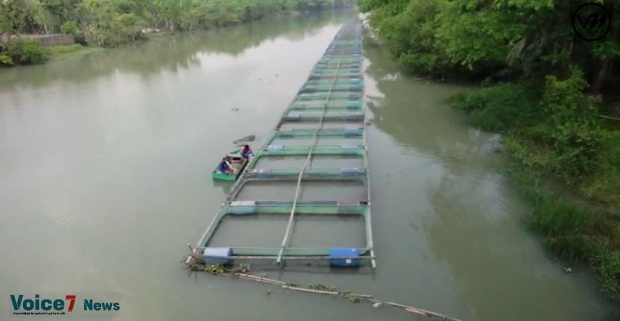 Fish farming in rivers by constructing boxes. Fish farming using this technology is lucrative, low-cost, and environmentally benign.